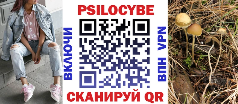 Псилоцибиновые грибы Psilocybine cubensis  Купить где  Качканар 